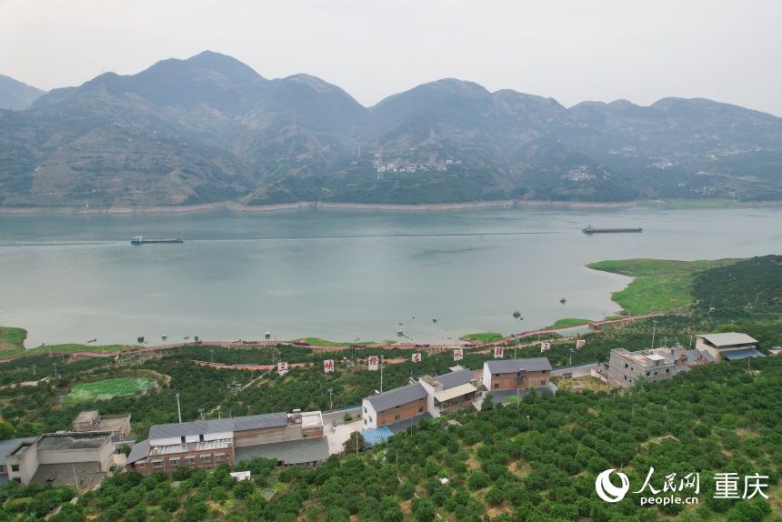 位于长江上游南岸的三沱村。人民网记者 刘政宁摄
