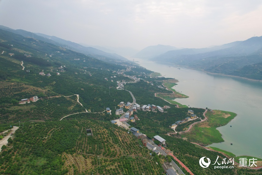 位于长江上游南岸的三沱村。人民网记者 刘政宁摄