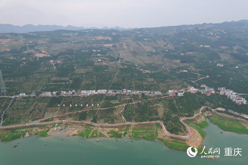 位于长江上游南岸的三沱村。人民网记者 刘政宁摄