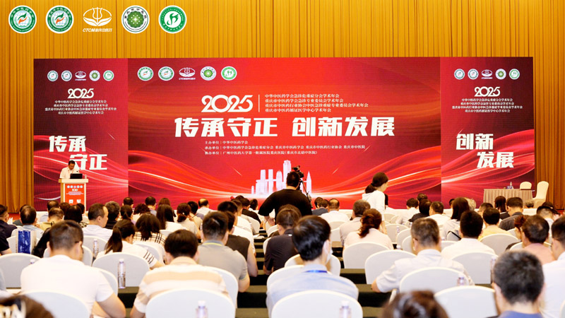 会议现场。重庆市中医院供图
