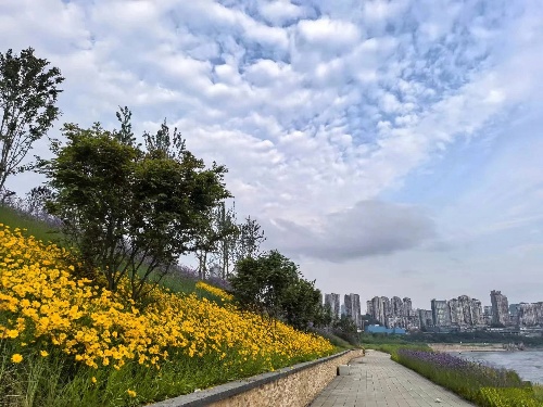 "藝岸漫行"都市水岸。重慶設計集團有限公司市政設計研究院供圖。