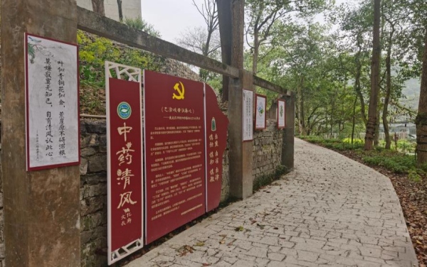 研究所中药清风长廊一角。重庆市药物种植研究所供图