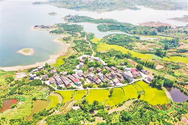 紧邻长寿湖的长寿区高庙村，十里滨湖廊道等建设正加快推进。（受访者供图）