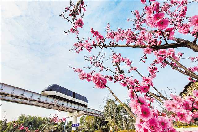 璧山開往春天的“雲巴”。（本組圖片均由受訪單位提供）