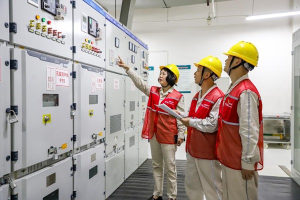 電力人員對配電設備進行安全檢查。國網重慶永川供電公司供圖