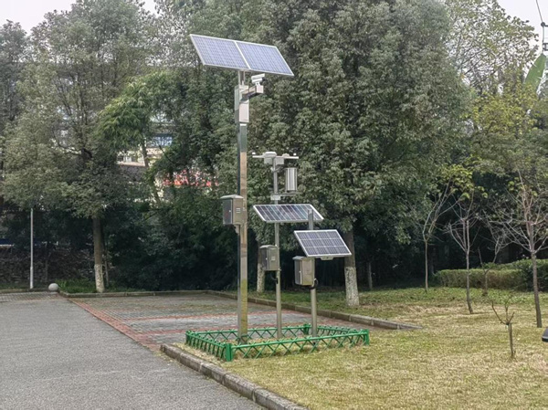 古树名木智慧监测系统。重庆市林业局供图