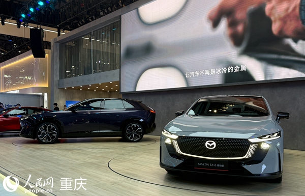 車展現場。人民網記者 胡虹攝
