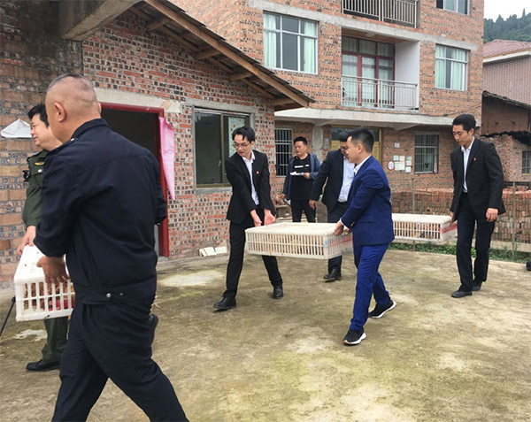 助力乡村振兴，支持困难农户开展劳动养殖。中交资管重庆总部供图