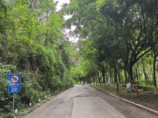 道路整治后不見違停車輛身影。段紅玲攝