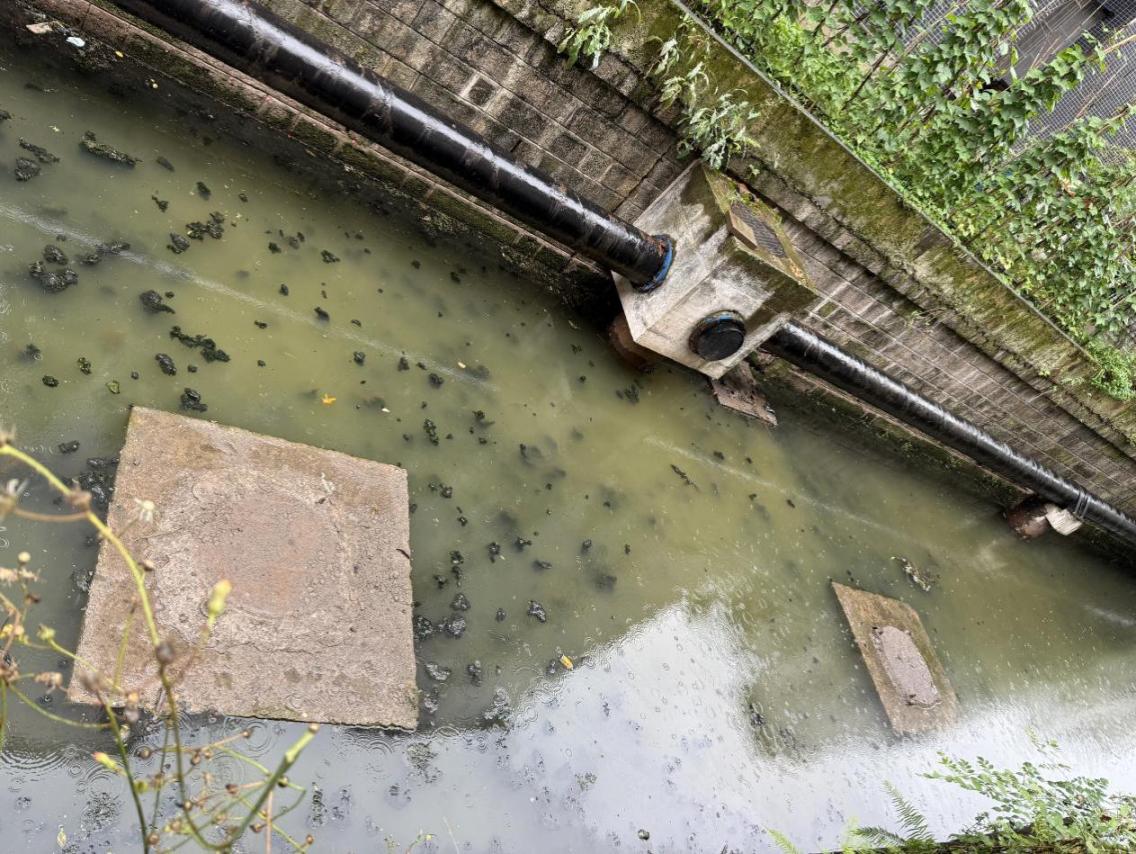 經雨水沖刷，瘦畔河段涌起的污垢。人民網 歐陽易佳攝