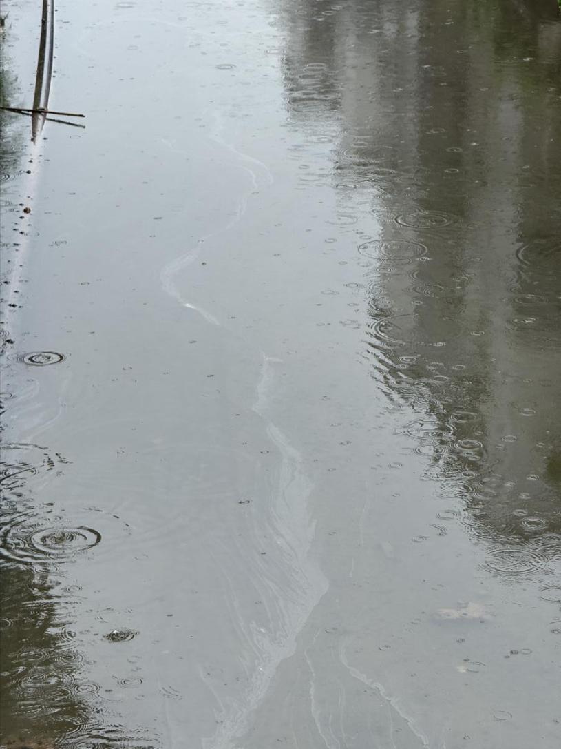 瘦畔河段水面上漂浮一層油膜。人民網 歐陽易佳攝