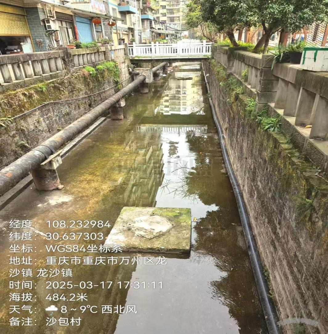 2025年3月現場照片。重慶市生態環境局供圖