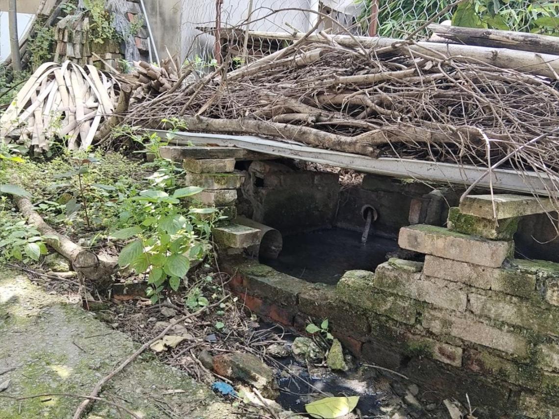 村庄化糞池溢流。生態環境部供圖