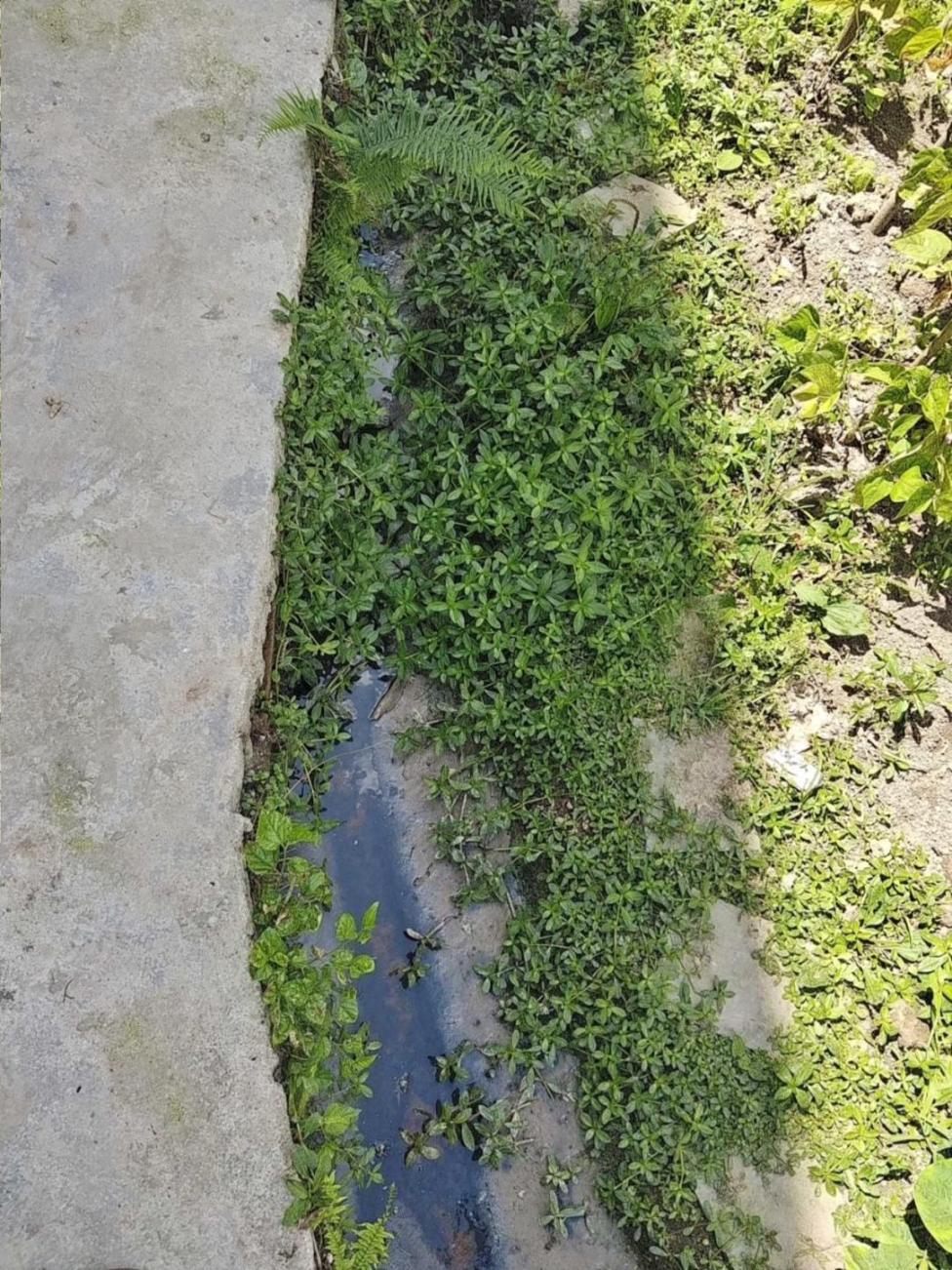 村庄污水橫流。生態環境部供圖