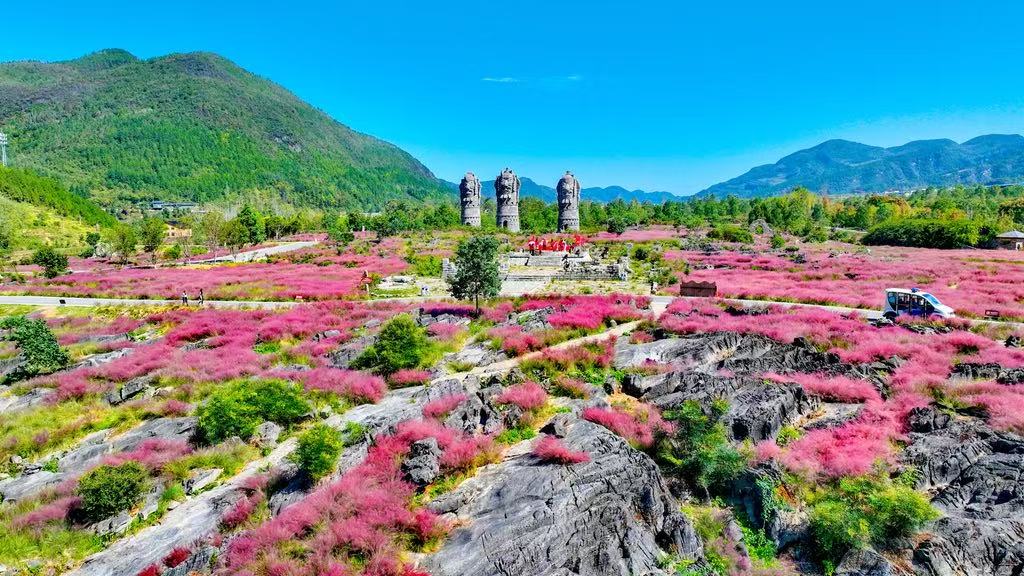 酉阳利用石漠化土地打造的叠石花谷景区。重庆市林业局供图