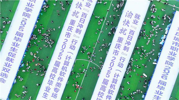 雙選會現場。主辦方供圖