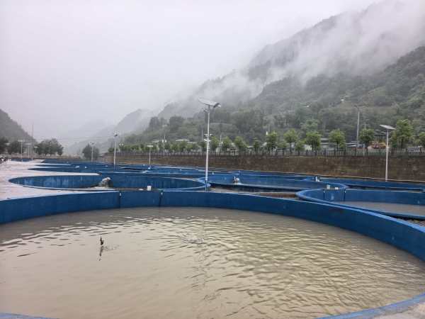 冷水鱼养殖基地。鸡鸣乡供图