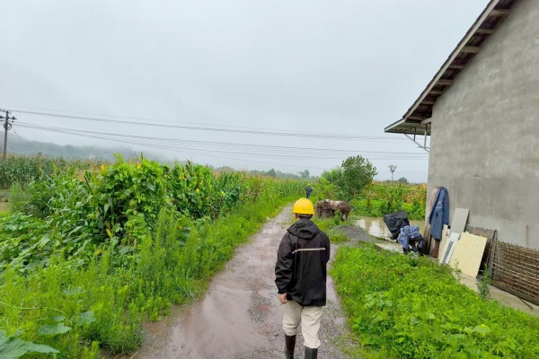 國網合川供電公司員工在暴雨后巡視10千伏古化線2號杆至45號杆。翁航攝