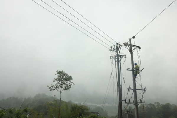    國網武隆供電公司員工雨后搶修10千伏平鳳線鳳石支線4號杆上受損的引流線。夏夢潞攝