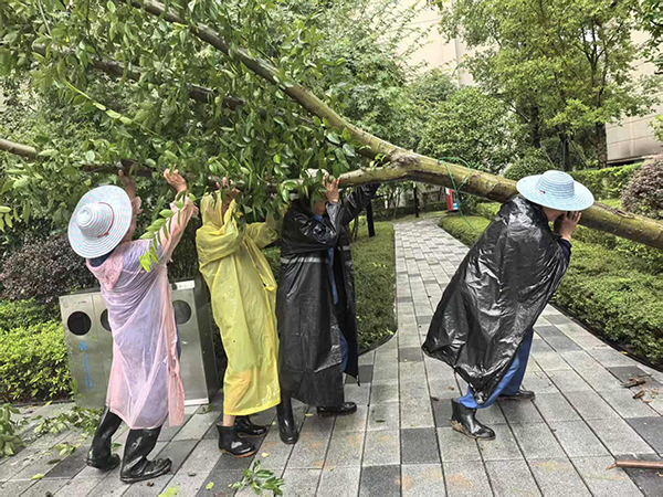 7月9日，萬科金開悅府物業人正在清理被大風刮倒的樹木。萬科物業供圖