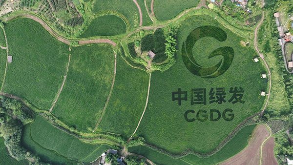 签约仪式现场。中国绿发重庆公司供图