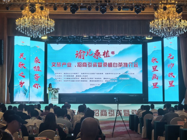 活动现场。桑植县委宣传部供图