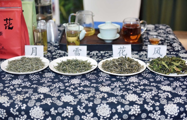 桑植白茶现场推介。桑植县委宣传部供图