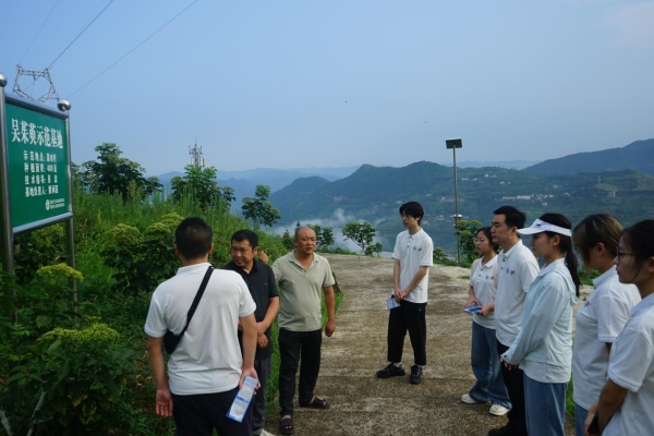 村支书、驻村干部向团队成员介绍中药材种植基地情况。重庆交通大学供图