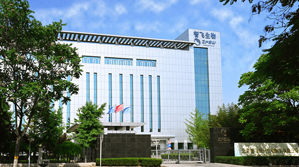 智飛生物全資子公司北京智飛綠竹。智飛生物供圖