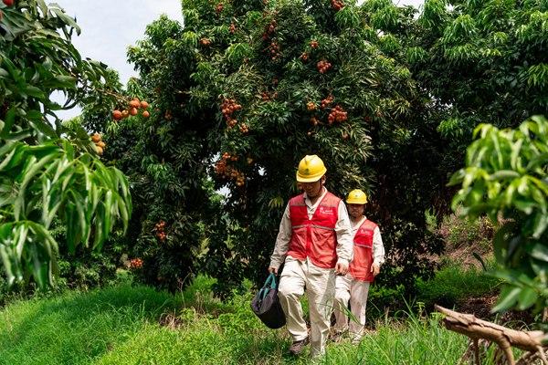 電力員工對用電設施進行“體檢”。國網重慶永川供電公司供圖