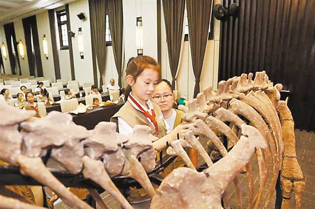 重庆自然博物馆，孩子们在化石修复师的指导下组装“恐龙化石骨架”。（受访单位供图）
