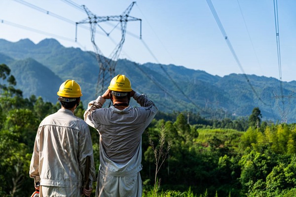 電力員工對電網設備進行巡檢。國網重慶永川供電公司供圖