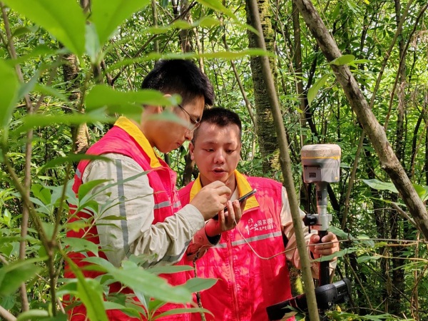 国网重庆经研院设计中心员工正在成渝中线高铁牵引站供电线路勘测现场讨论塔基定位。程婧雪摄