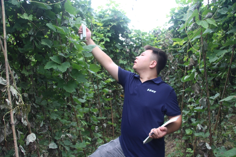 团队成员测试葛根叶片光合速率和叶绿素含量。重庆工程职业技术学院供图