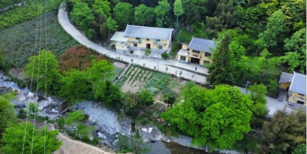 龙田镇乡村美景。龙田镇供图