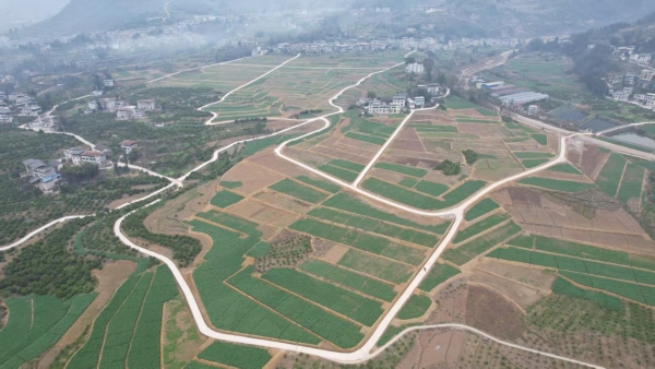 奉節縣羊市鎮全力推進高標准農田建設。羊市鎮供圖