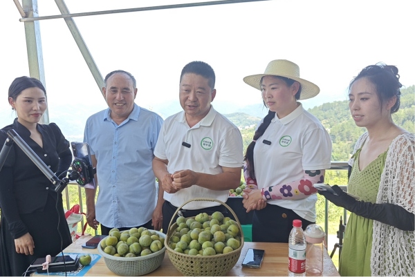 網格長黃琴正和直播團隊在木甫村青脆李園開展助農直播。龍角鎮供圖