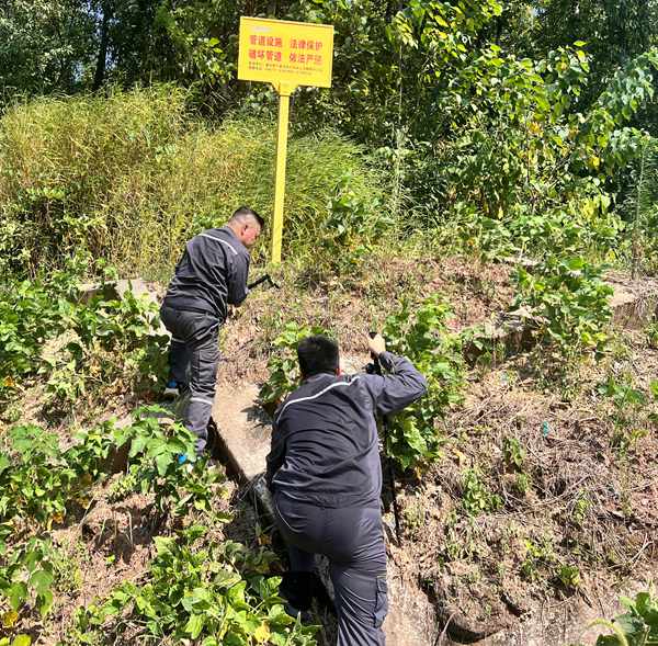 烈日下，王志剛與隊員巡查管線。重慶燃氣集團供圖
