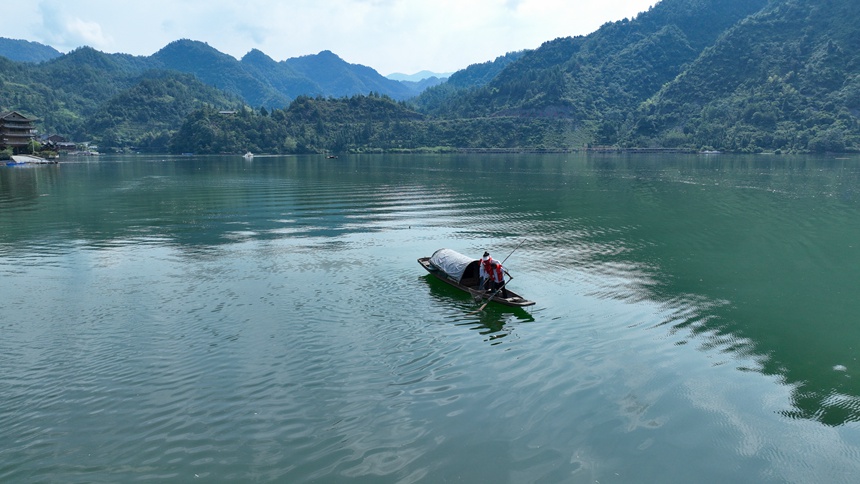 “河小青”志愿者们正在酉水河清漂。邱洪斌摄
