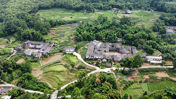 江津区中山镇白鹤村白鹤林。重庆市住房城乡建委供图