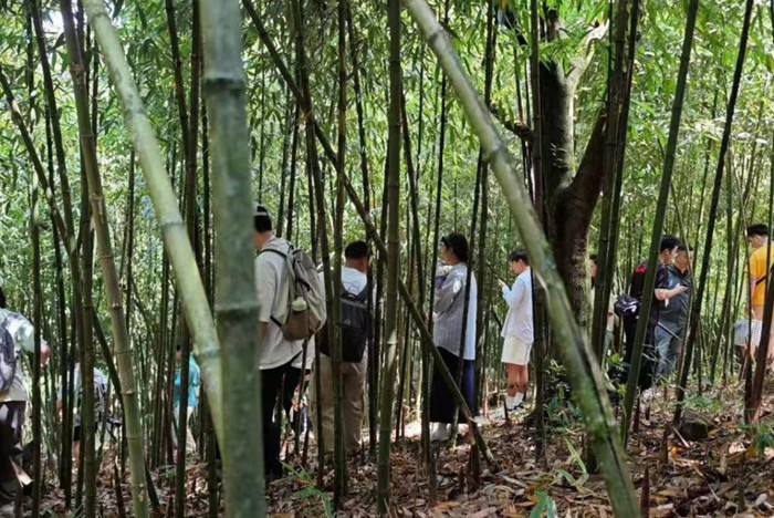 活动现场。主办方供图