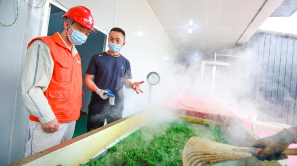 獲獎作品《電力“烤”出花椒香 村民走上致富路》組圖之一。國網重慶市電力公司供圖