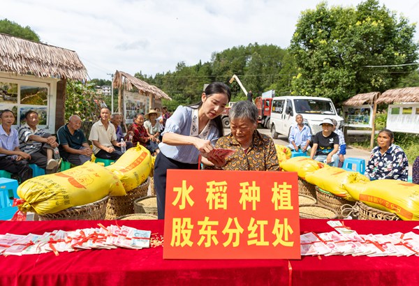 南川區木涼鎮雲都寺村,村民在“水稻種植股東分紅處”領取分紅。羅川攝