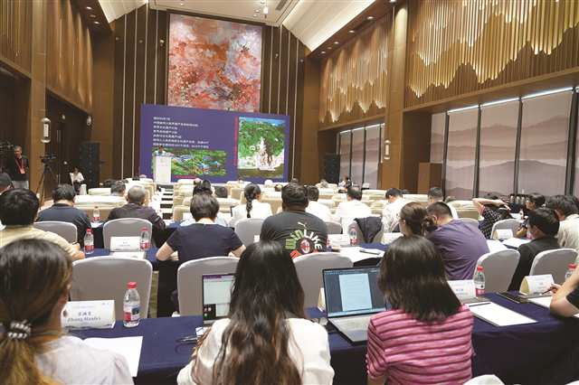 2025龙骨坡遗址学术研讨会现场。摄/向君玲