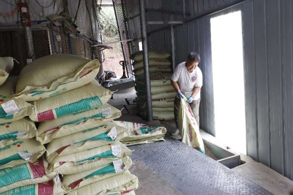 农户正在为自动化投喂设备加入饲料。邹雨璠摄