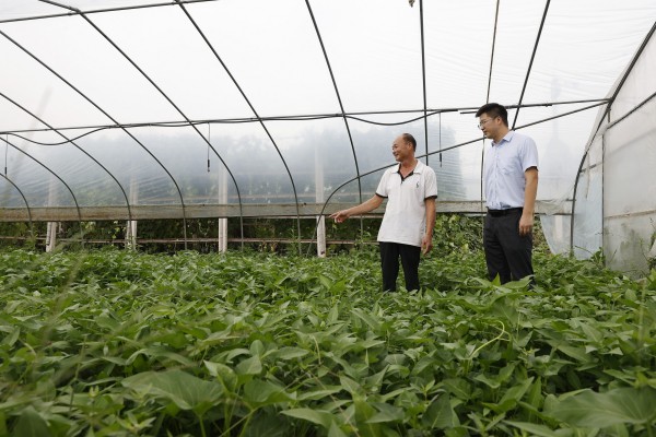 农行工作人员到合作社了解情况。邹雨璠摄