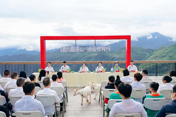 发布会现场。巫山县文旅委供图