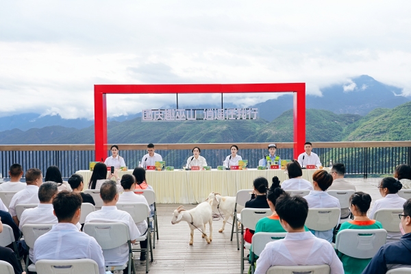 发布活动现场。巫山县委宣传部供图