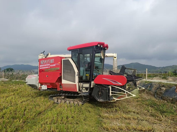 图为在江津区白沙镇,收割机正在田间作业。受访企业供图