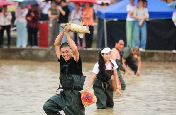 稻田摸鱼比赛现场。活动主办方供图